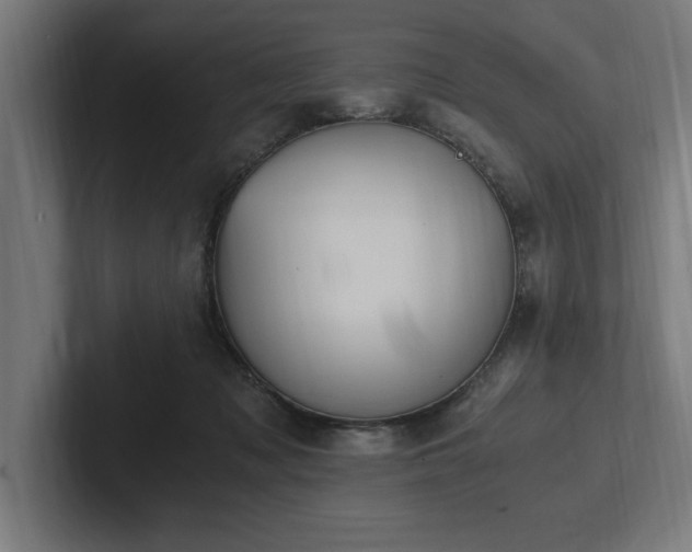 X0000102370317200808011518