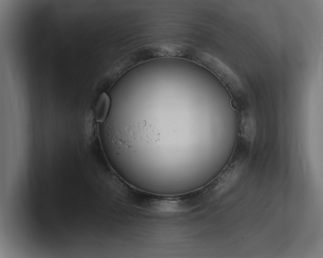 X0000102370318200808011518