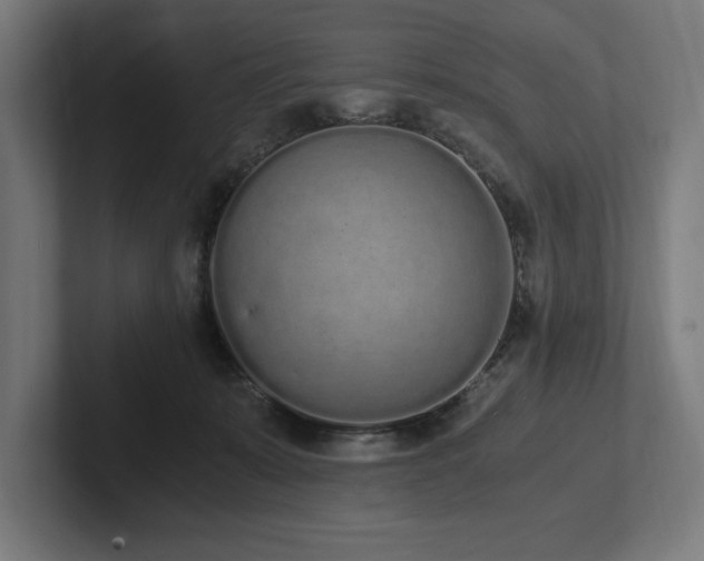 X0000102370319200808011518