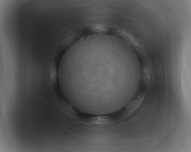 X0000102370320200808011518
