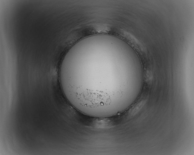 X0000102370321200808011518
