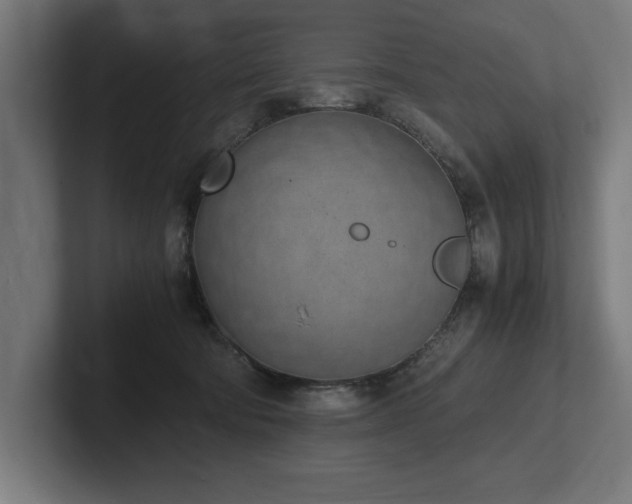 X0000102370322200808011518