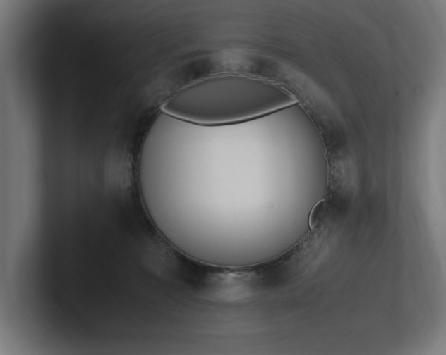 X0000102370323200808011518