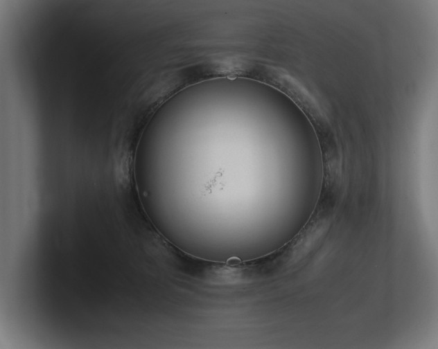 X0000102370325200808011518