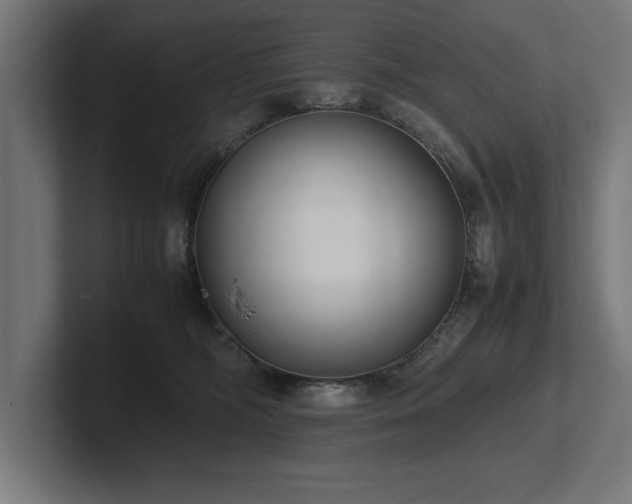 X0000102370326200808011518