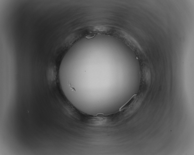 X0000102370328200808011518