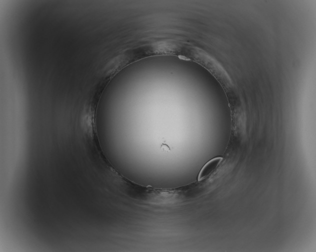 X0000102370329200808011518