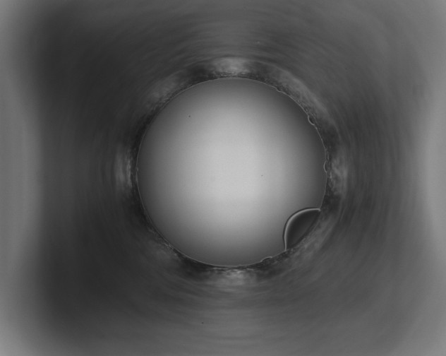 X0000102370330200808011518