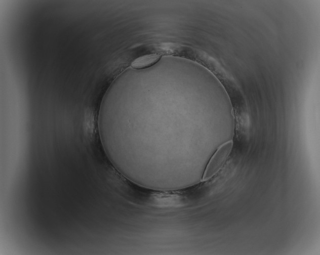 X0000102370331200808011518