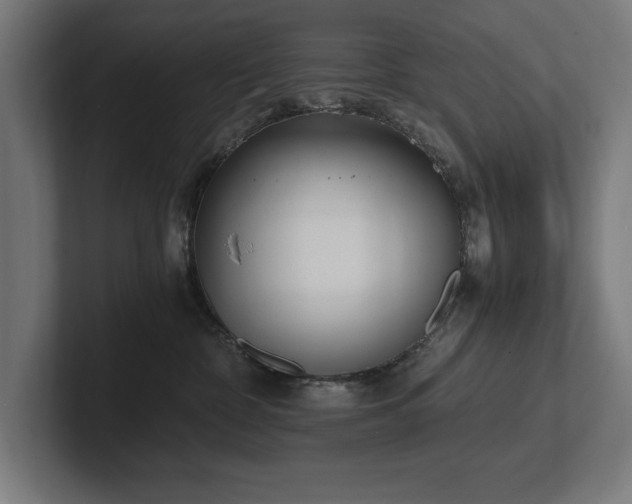 X0000102370332200808011518