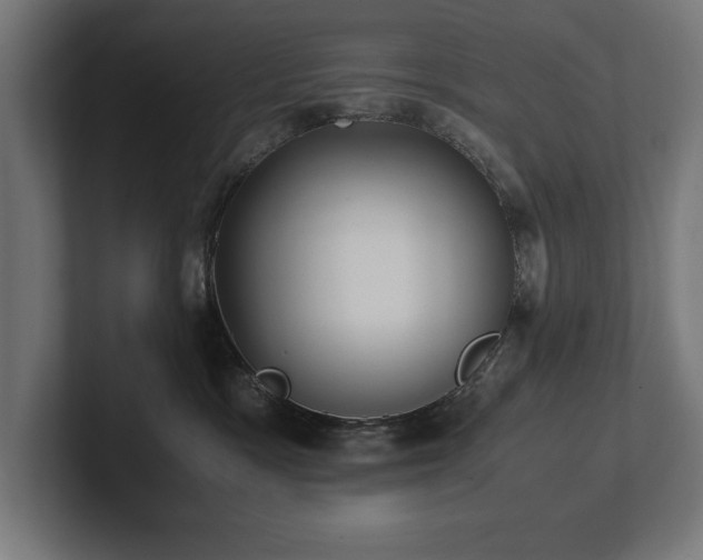X0000102370333200808011518