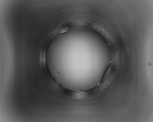 X0000102370334200808011518