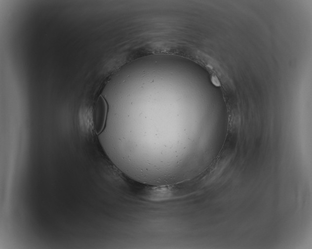 X0000102370335200808011518