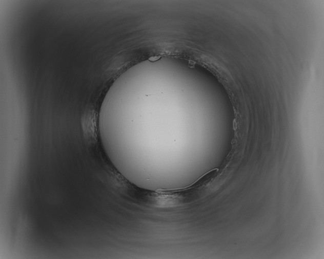 X0000102370336200808011518