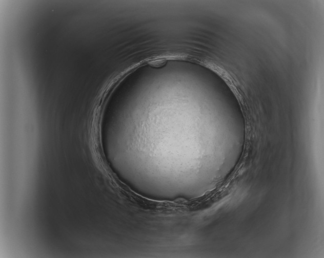 X0000102370337200808011517