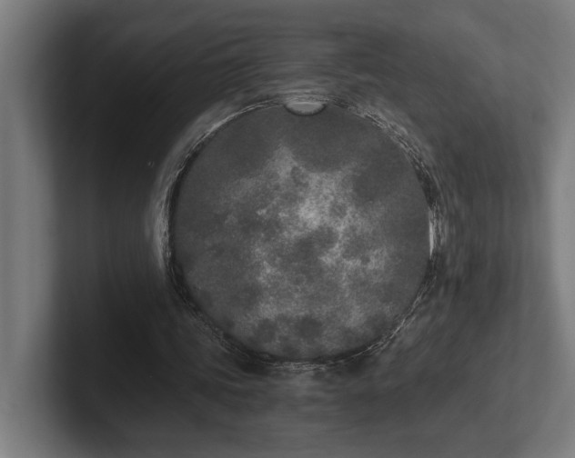 X0000102370339200808011517