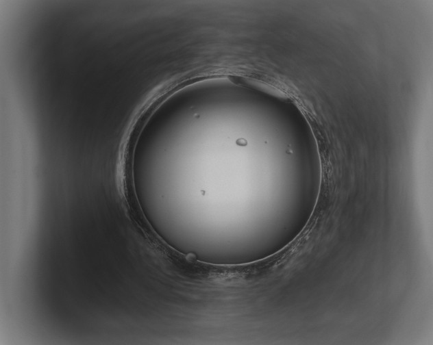 X0000102370340200808011518