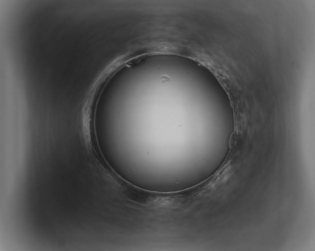 X0000102370341200808011518