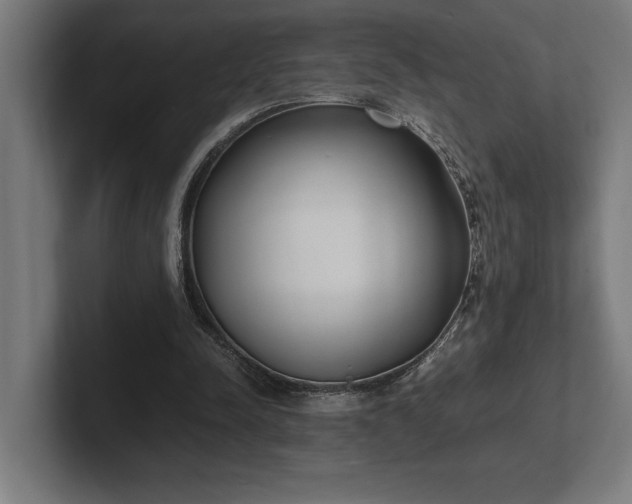 X0000102370342200808011518