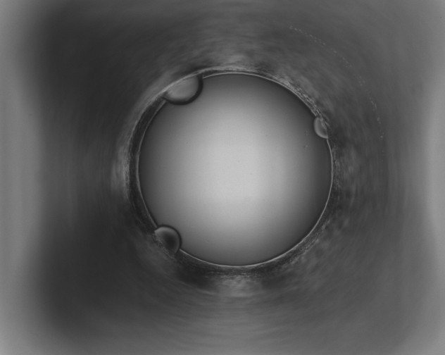 X0000102370344200808011518