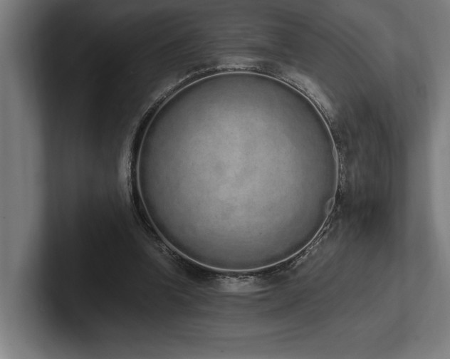 X0000102370346200808011518