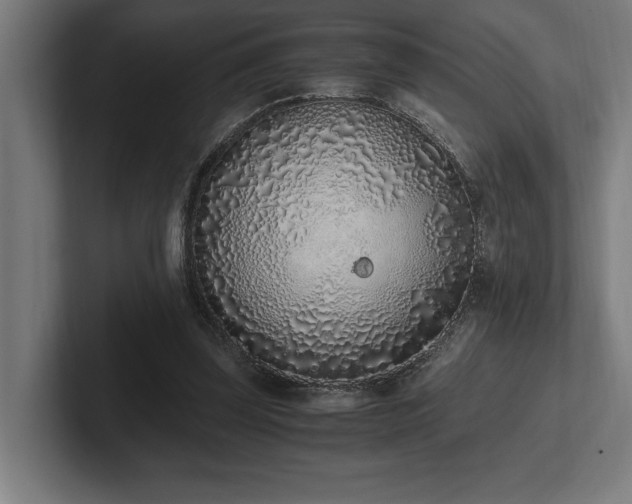 X0000102370347200808011518