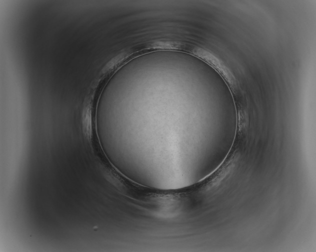 X0000102370349200808011518