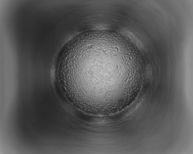 X0000102370351200808011518
