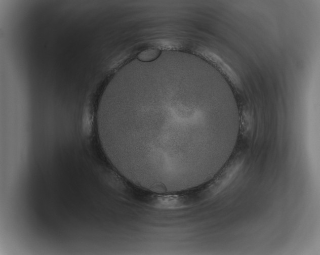 X0000102370355200808011518
