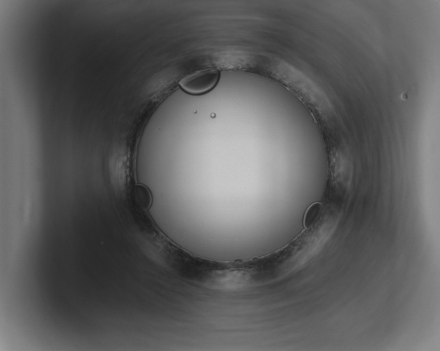 X0000102370356200808011518
