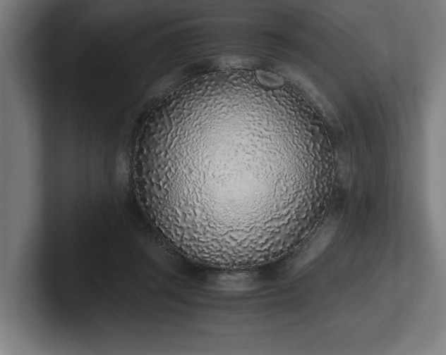 X0000102370357200808011518
