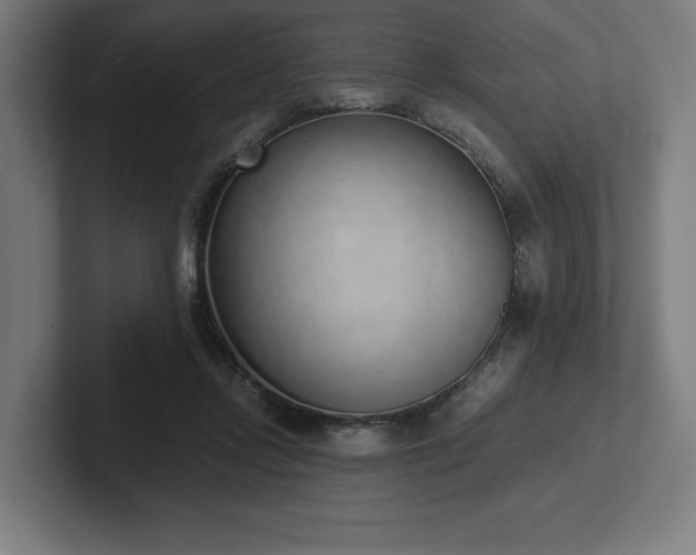 X0000102370358200808011518