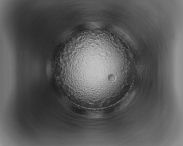 X0000102370359200808011518