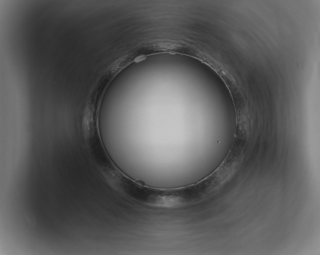 X0000102370360200808011518