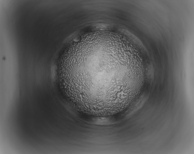 X0000102370361200808011518