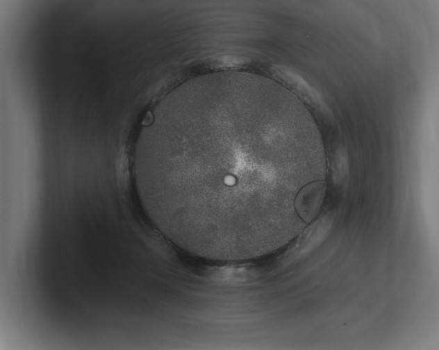 X0000102370366200808011518