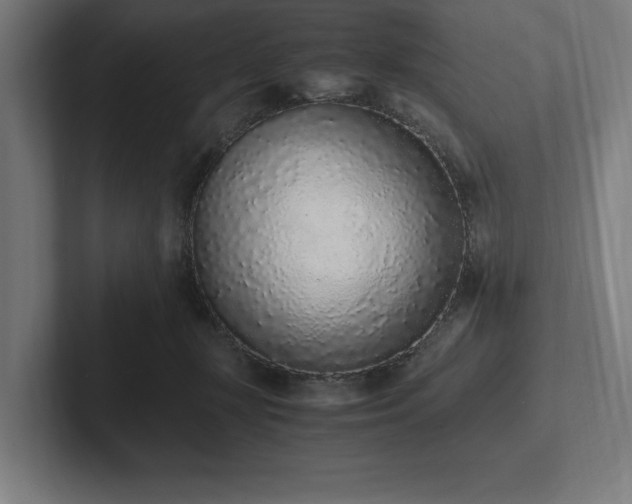 X0000102370367200808011518