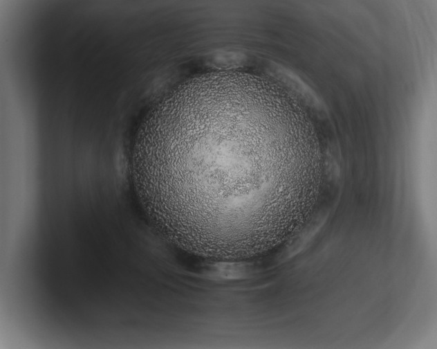 X0000102370371200808011518