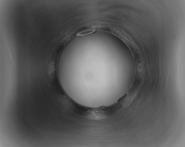 X0000102370372200808011518