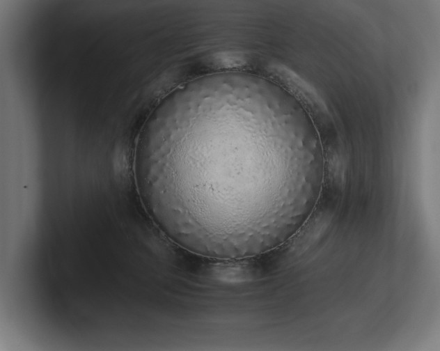 X0000102370373200808011518
