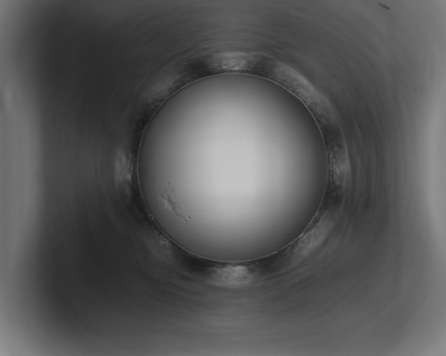 X0000102370374200808011518