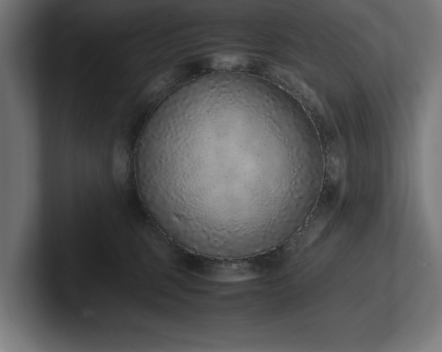 X0000102370375200808011518