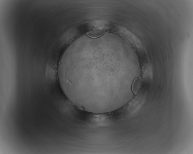 X0000102370376200808011518
