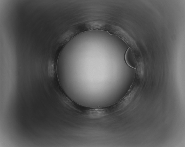 X0000102370378200808011518