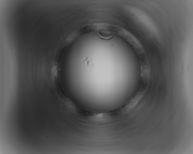 X0000102370382200808011518