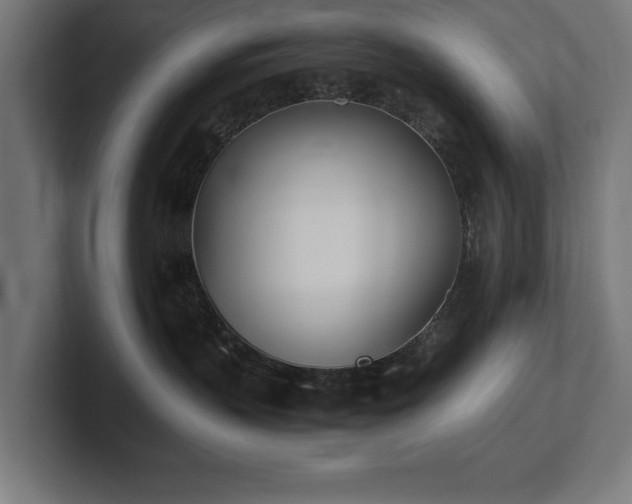 X0000102370383200808011518