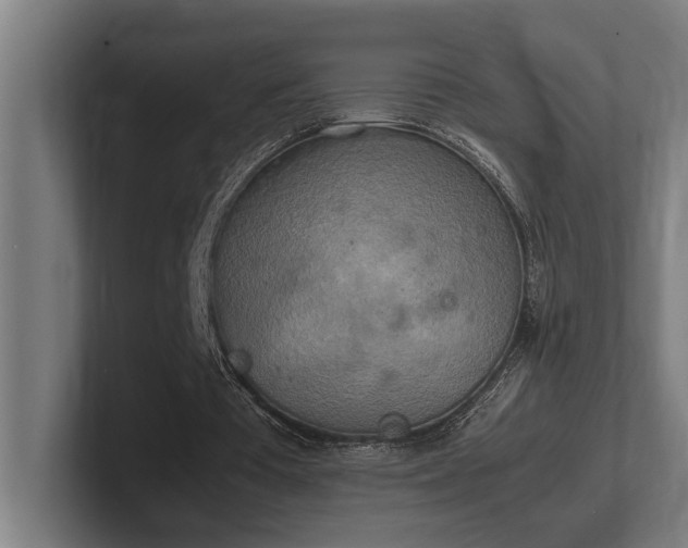 X0000102370385200808011517