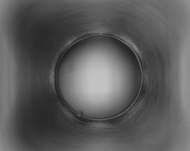 X0000102370389200808011517