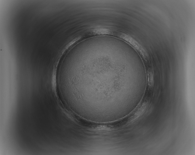 X0000102370390200808011517