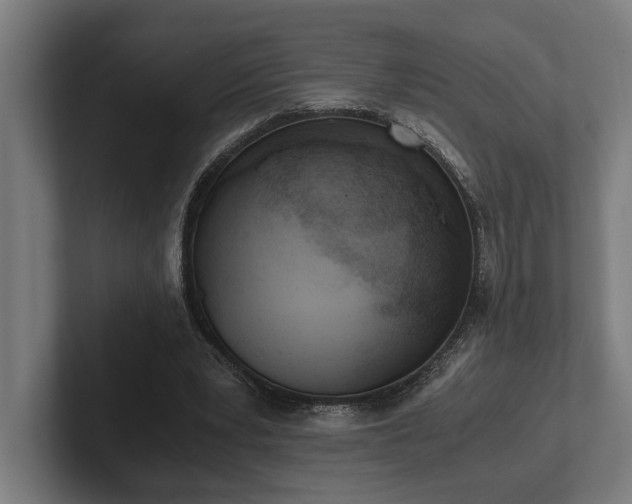 X0000102370391200808011517